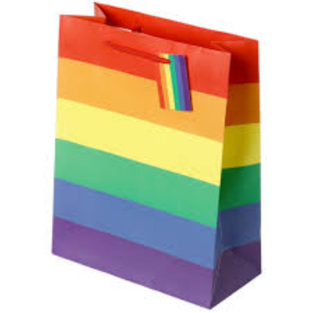 GIFT BAG RAINBOW M IT765667